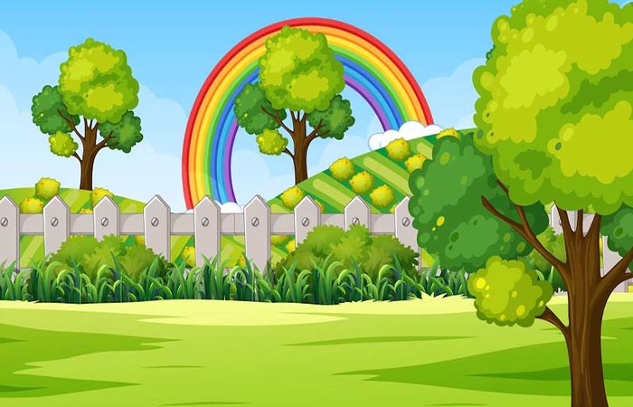  Play Ground